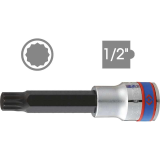 Đầu khẩu bit 1/2 inch lõi thép S2 KINGTONY 4036 series