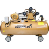 Máy nén khí chạy bằng dầu diesel PEGASUS TM-W series
