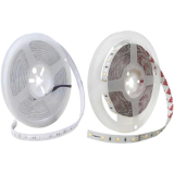 Đèn LED dây PARAGON LED series