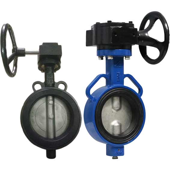 Worm butterfly valve