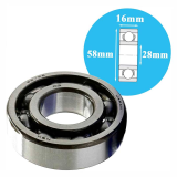 Single row deep groove ball bearings NSK