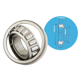 Single row tapered roller bearings SKF