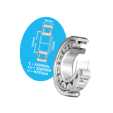 Vòng bi đũa trụ NSK