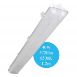 Đèn chống thấm, chống bụi PARAGON