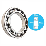 Deep groove ball bearings SKF