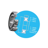 Single row deep groove ball bearings with a snap ring groove SKF