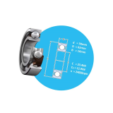 Single row deep groove ball bearings with a snap ring groove SKF