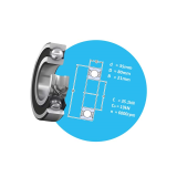 Single row deep groove ball bearings with a snap ring groove SKF