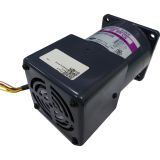 Induction speed control motor 