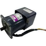 Induction speed control motor 