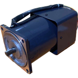 Induction speed control motor 