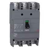 Molded-case circuit breakers from 15 to 630 A SCHNEIDER