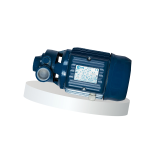 Peripheral positive displacement pump PENTAX