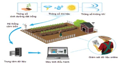 Mô hình ứng dụng IoT trong nông nghiệp công nghệ cao 