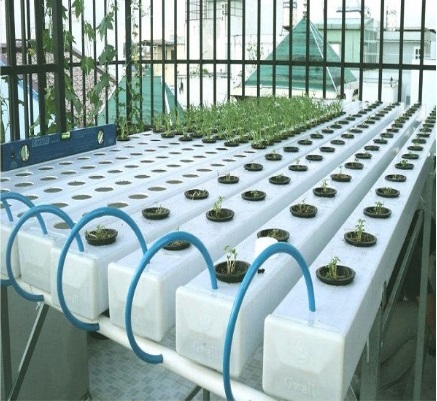 Ứng dụng Ống nhựa PVC trong nông nghiệp