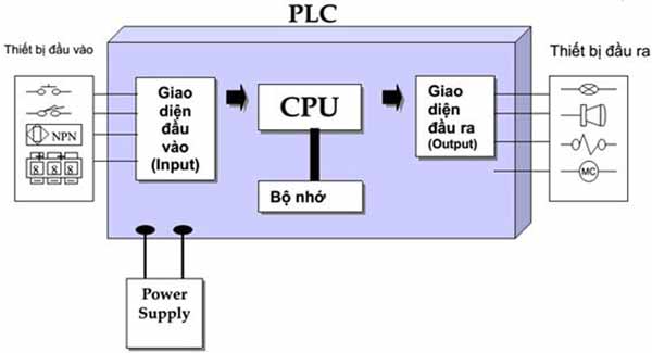 Cấu tạo của PLC