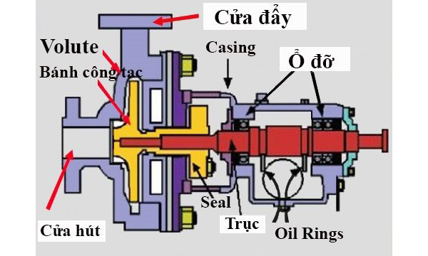 Cấu tạo của bơm ly tâm