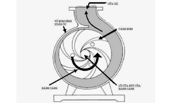 Nguyên lý hoạt động của bơm ly tâm