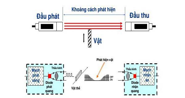 Cảm biến quang thu phát riêng