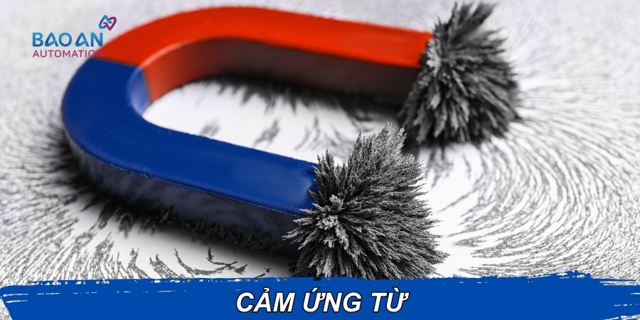 Cảm ứng từ là gì?