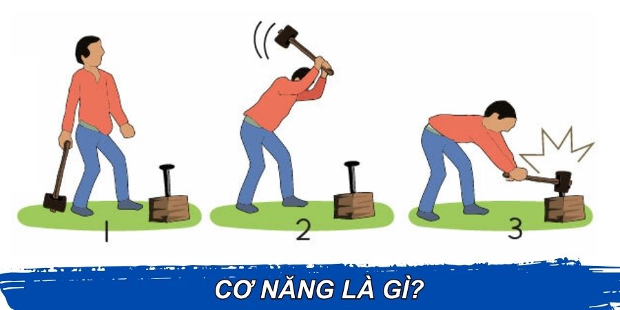 Cơ năng là gì? Cơ năng là gì?