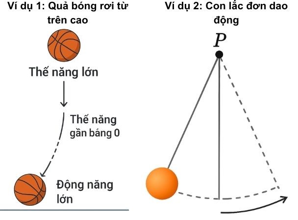 Hình ảnh mình họa cơ năng Hình ảnh mình họa cơ năng