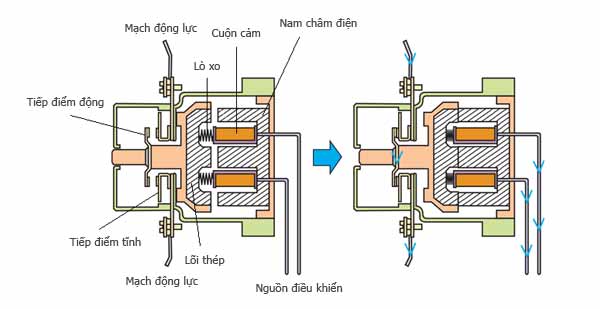 Cấu tạo contactor