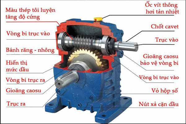 Motor giảm tốc trục vít