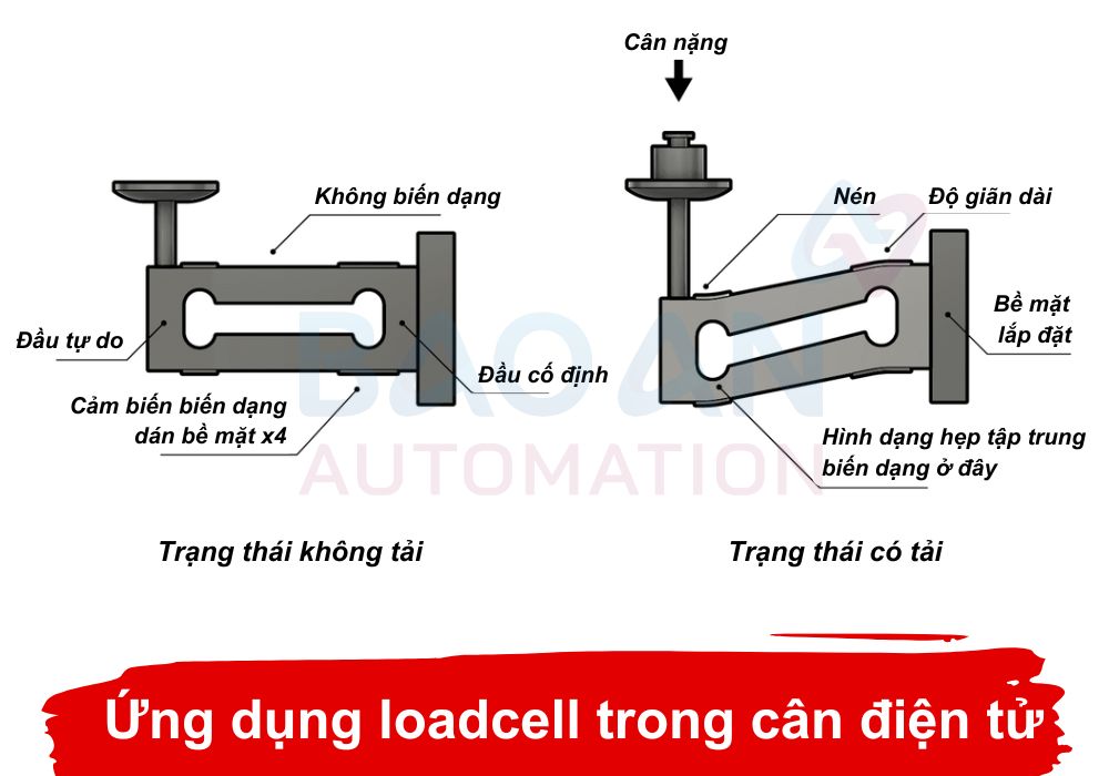 Ứng dụng của Loadcell trong cân điện tử