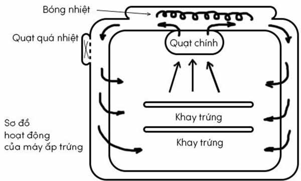 Nguyên lý hoạt động của máy ấp trứng