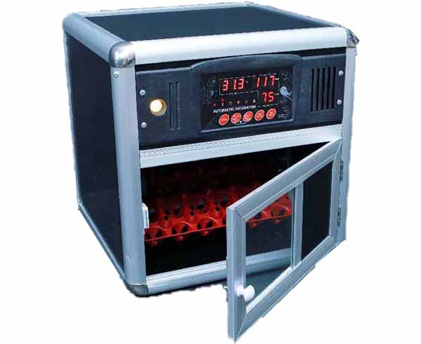 Máy ấp trứng mini