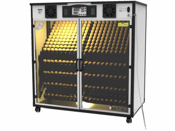 Máy ấp trứng công nghiệp