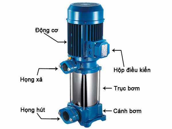 Cấu tạo bơm trục đứng
