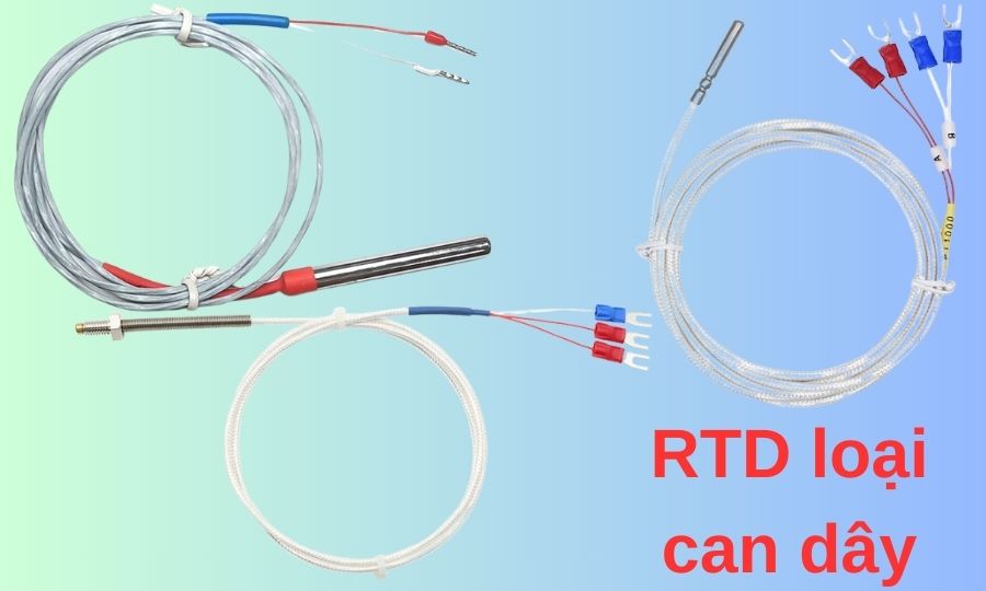 RTD loại can dây RTD loại can dây