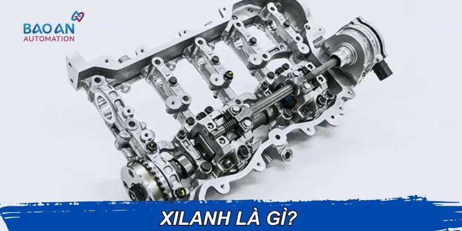 Xilanh là gì? Xilanh là gì?